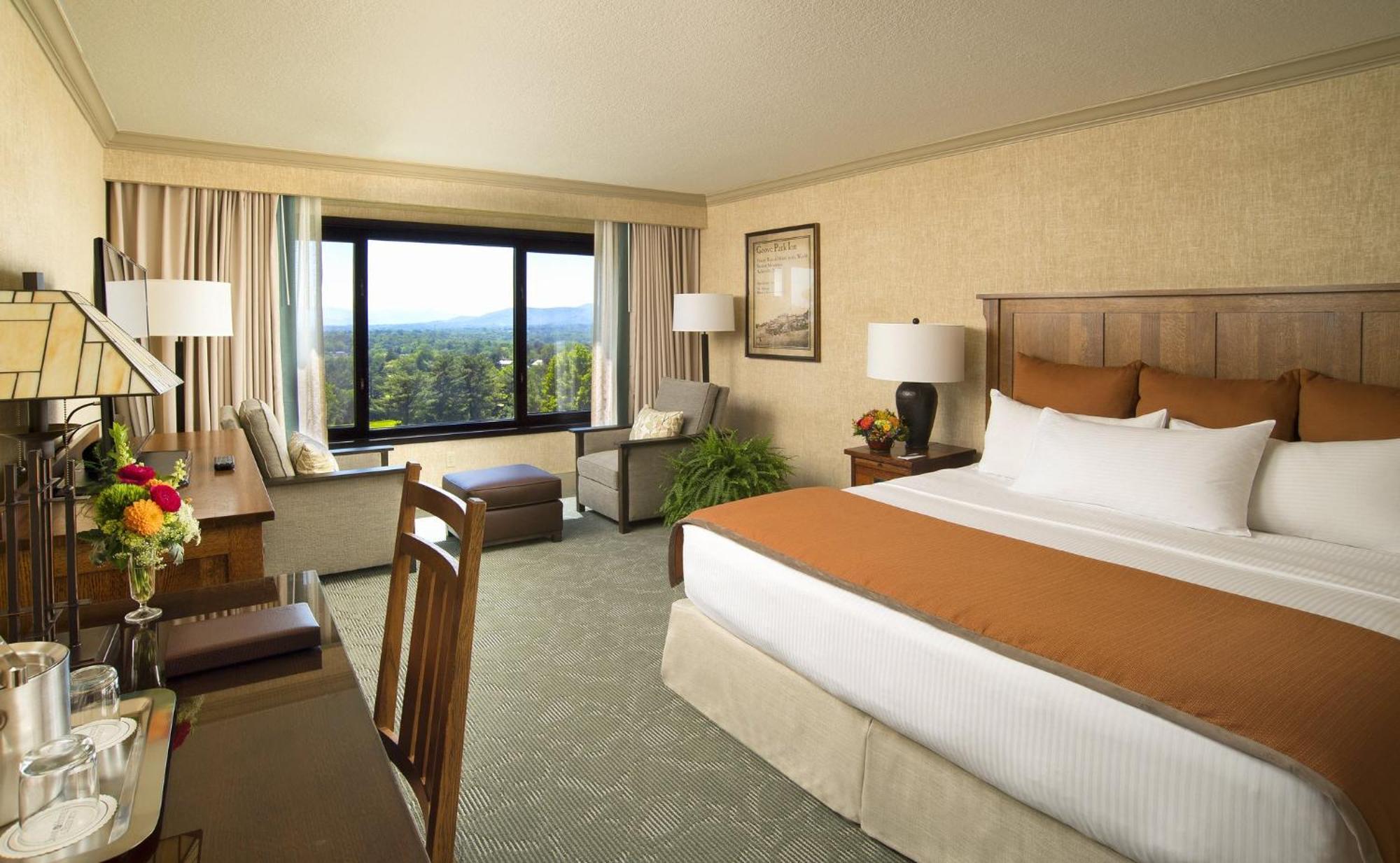Premium Accessible Mountain View Room with One King Bed