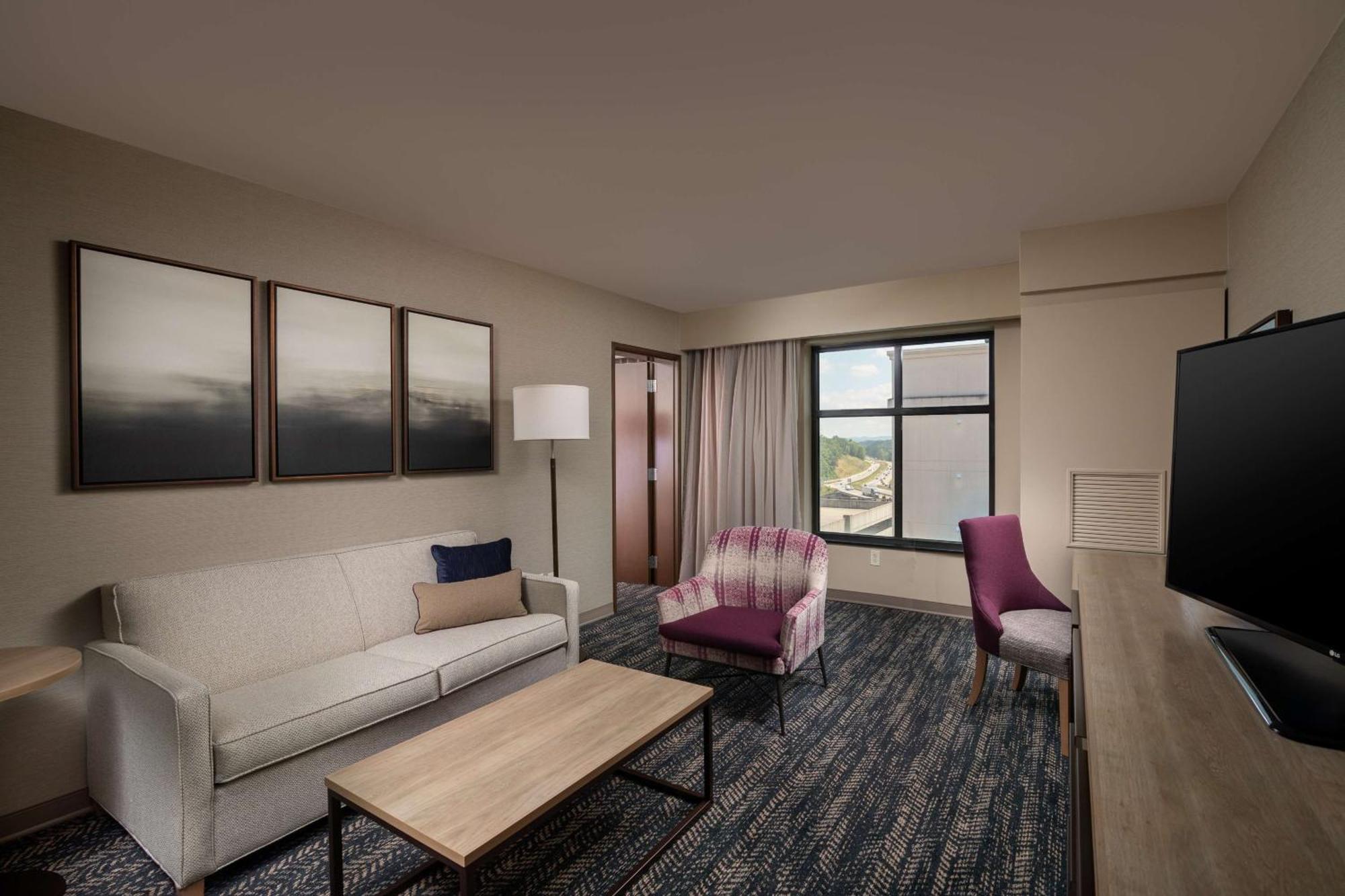 One-Bedroom King Suite with Sofa Bed