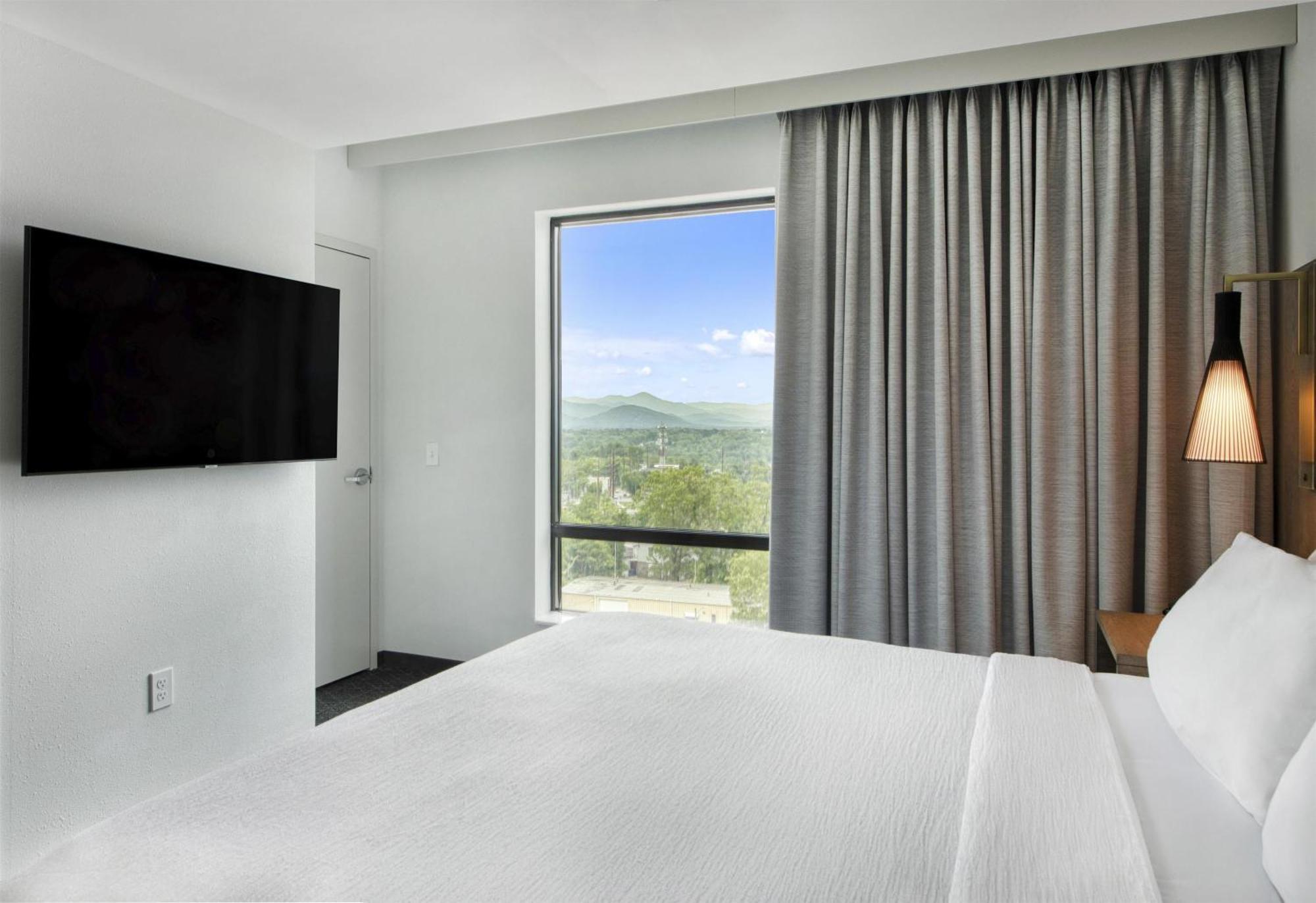 One-Bedroom King Suite with Mountain View
