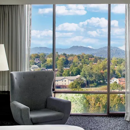 Renaissance Asheville Downtown Hotel-2