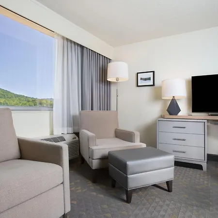 Holiday Inn Asheville East-Blue Ridge Pkwy By Ihg-2